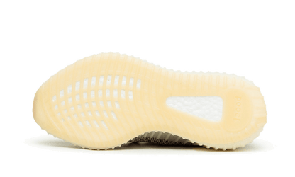 Adidas Yeezy Boost 350 V2 Ash Pearl